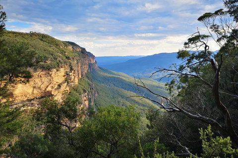 Sunset Blue Mountains Wilderness & Wildlife Tour Without The Crowds - Schoolies Week Accommodation 2