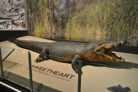 Explore Darwin City Sights Including Key Attractions - Schoolies Week Accommodation 2