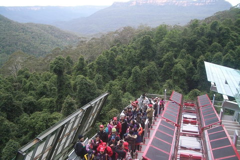 Blue Mountains Private Tour With Wildlife Park And River Cruise - Schoolies Week Accommodation 1