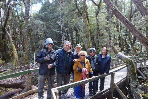 Blue Mountains Private Tour With Wildlife Park And River Cruise - Schoolies Week Accommodation 2