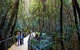 Blue Mountains Private Tour With Wildlife Park And River Cruise - thumb 4