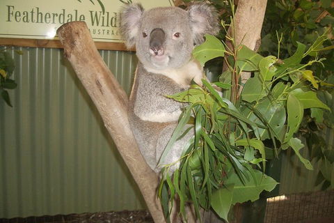 Blue Mountains Private Full-Day Tour From Sydney With Cruise - Schoolies Week Accommodation 0