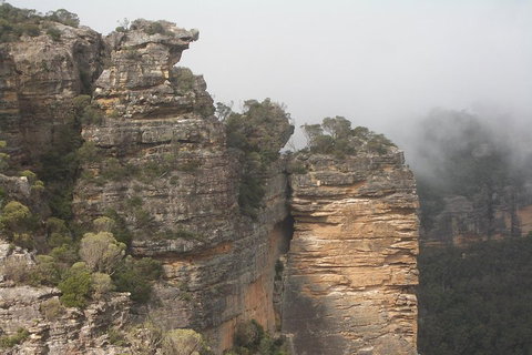 Private Blue Mountains Tour With Expert Guide - Schoolies Week Accommodation 5