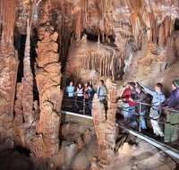 Private Tour Jenolan Caves  Blue Mountains in a day - Schoolies Week Accommodation
