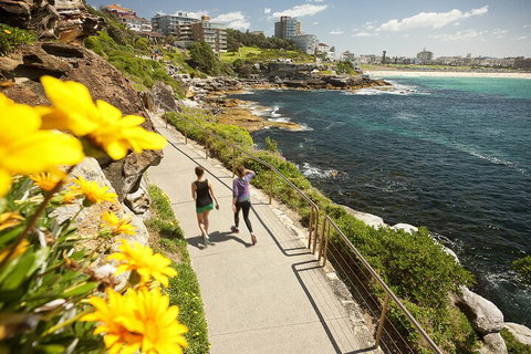 Sydney Uncovered Full-Day Tour - Schoolies Week Accommodation 1
