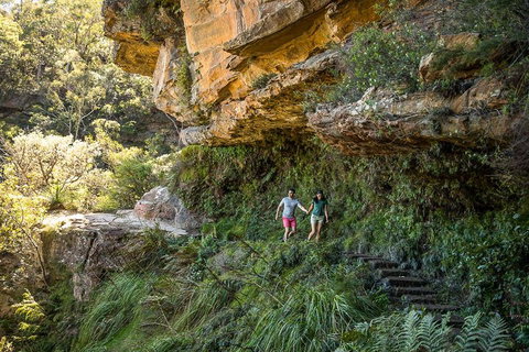 Private Guided: Blue Mountains Hiking & Nature Tour - Schoolies Week Accommodation 2