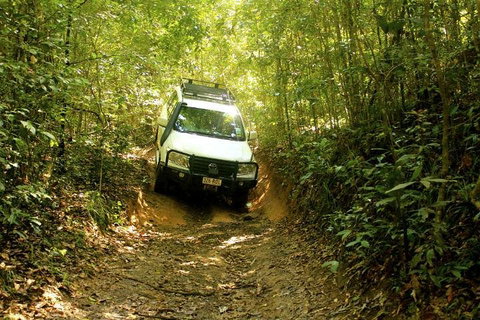 Barron Gorge And Kuranda National Park Half Day Rainforest And Waterfall 4WD Tour From Cairns - Schoolies Week Accommodation 2