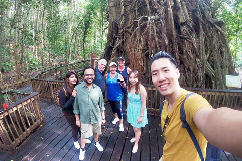 Barron Gorge And Kuranda National Park Half Day Rainforest And Waterfall 4WD Tour From Cairns - Schoolies Week Accommodation 5