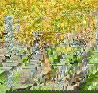Margaret River Indulge and Discover Day Tour - Schoolies Week Accommodation