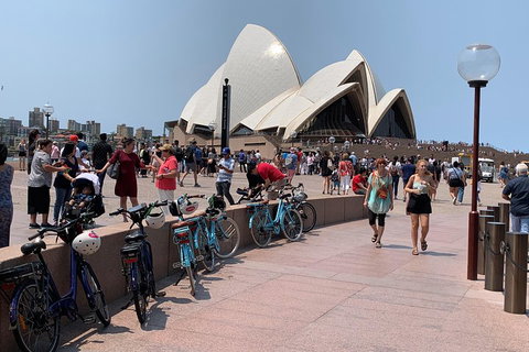 The Sydney Express - Schoolies Week Accommodation 4