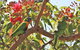 Sydney Harbour, Northern Beaches And National Park - thumb 5