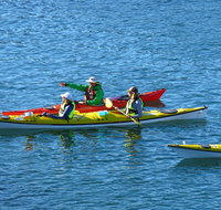Half-Day Sydney Middle Harbour Guided Kayaking Eco Tour - Schoolies Week Accommodation