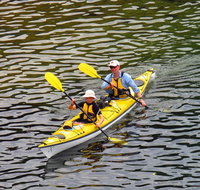 Self-Guided Sydney Middle Harbour Kayak 3 Hour Tour by Double Kayak - Schoolies Week Accommodation