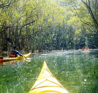 Middle Harbour Mangrove Explorer - Schoolies Week Accommodation