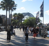 Private City Walking Tour from your hotel
