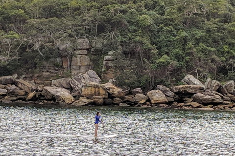Manly & Sydney's Northern Beaches With 'Personalised Sydney Tours' - Schoolies Week Accommodation 3