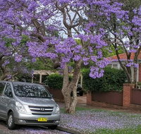 Sydney Secrets  Bondi Beach Private 4 Hr Morning with Personalised Sydney Tours - Schoolies Week Accommodation