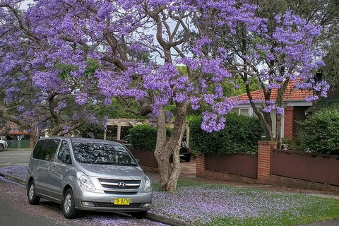Sydney Secrets & Bondi Beach Private 4 Hr Morning With Personalised Sydney Tours - Schoolies Week Accommodation 0
