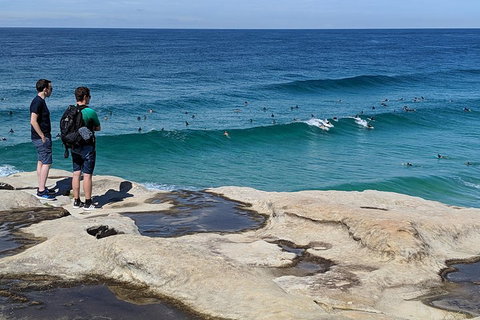 Sydney Secrets & Bondi Beach Private 4 Hr Morning With Personalised Sydney Tours - Schoolies Week Accommodation 2