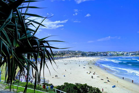 Sydney Secrets & Bondi Private 4 Hour Afternoon With 'Personalised Sydney Tours' - Schoolies Week Accommodation 0