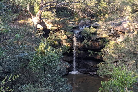 Australian Wildlife & Waterfalls Private Tour With 'Personalised Sydney Tours' - Schoolies Week Accommodation 5