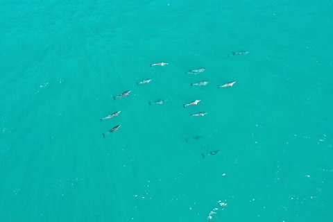 Port Macquarie Hastings Explorer - 30 Min VIP Private Flight - Schoolies Week Accommodation 4