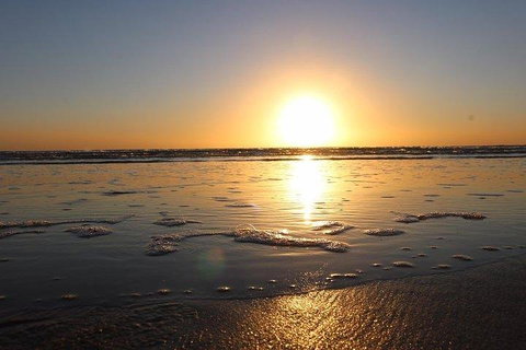 Port Macquarie Express VIP Private Flight - 15 Min - Schoolies Week Accommodation 5