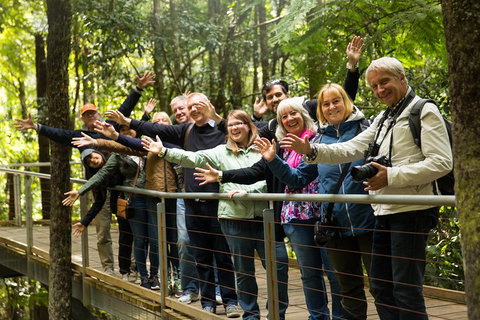 All Inclusive Blue Mountains Small-Group Day Trip From Sydney - Schoolies Week Accommodation 5