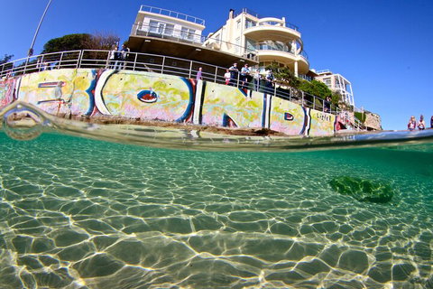 Bondi Like A Local: Half-Day Sightseeing Tour Including Surf Lesson - Schoolies Week Accommodation 4