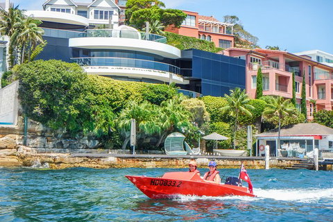 Sydney Speed Boat Adventure Harbour Tour - Schoolies Week Accommodation 3