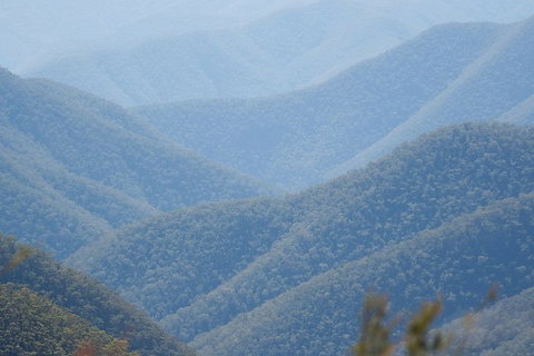 From The Mountains To The Bay - 4 Day Rediscovery Private Tour - Schoolies Week Accommodation 1