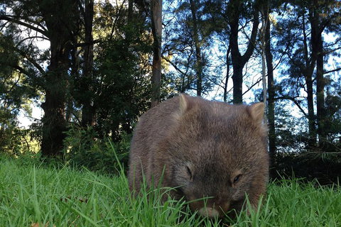 From The Mountains To The Bay - 4 Day Rediscovery Private Tour - Schoolies Week Accommodation 5