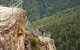 Blue Mountains Small-Group Insider Tour From Sydney - thumb 1