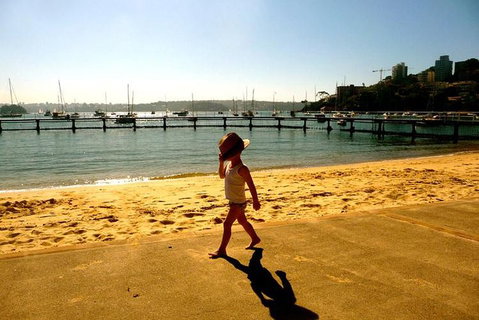 Morning Or Afternoon Highlights Tour In Sydney With A Local Guide - Schoolies Week Accommodation 3