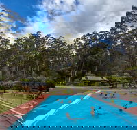 Tahune Airwalk Active Day Trip from Hobart Including Hastings Caves - Schoolies Week Accommodation