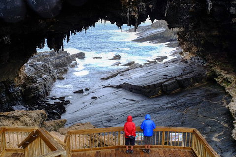 Full-Day Kangaroo Island Safari From Penneshaw - Schoolies Week Accommodation 1