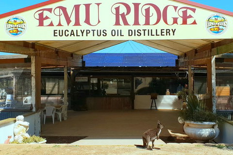 Full-Day Kangaroo Island Safari From Penneshaw - Schoolies Week Accommodation 2