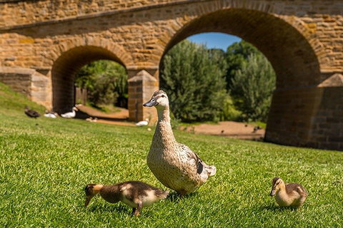 Richmond Historic Afternoon Tour From Hobart - Schoolies Week Accommodation 1