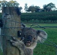 The Secret Vines Experience Port Macquarie