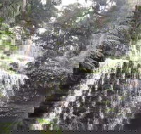 6-Day Hearty Tasmania Tour Tasmania in a Circle - Schoolies Week Accommodation