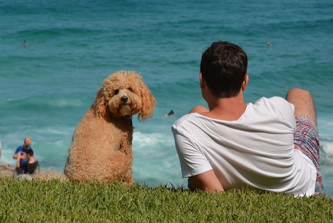 See Sydney With A Local: Private & Personalized - Schoolies Week Accommodation 5