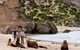 Kangaroo Island Scenic Trail Tour - thumb 5
