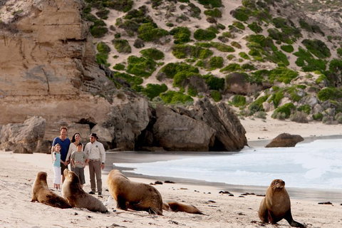 Kangaroo Island Scenic Trail Tour - Schoolies Week Accommodation 5