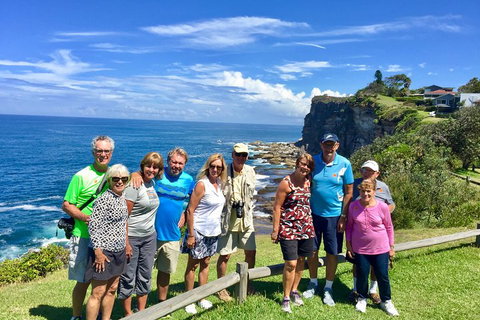 Shore Excursion: Sydney's Northern Beaches & Ku-ring-gai National Park Bus Tour - Schoolies Week Accommodation 0