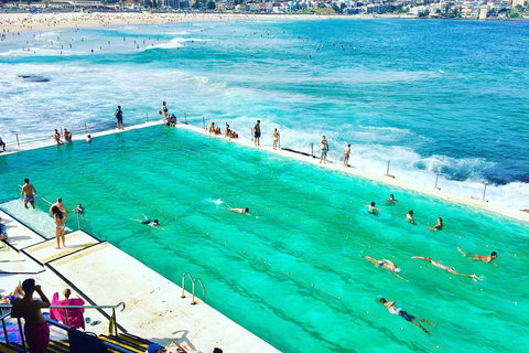Sydney City, Harbour & Bondi Private Tour, With Airport Pick Up Or Drop Off - Schoolies Week Accommodation 0