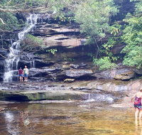 Central Coast Private Tour From Sydney with Australian Reptile Park Option - Schoolies Week Accommodation