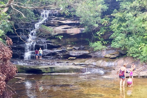 Central Coast Private Tour From Sydney, With Australian Reptile Park Option - Schoolies Week Accommodation 0