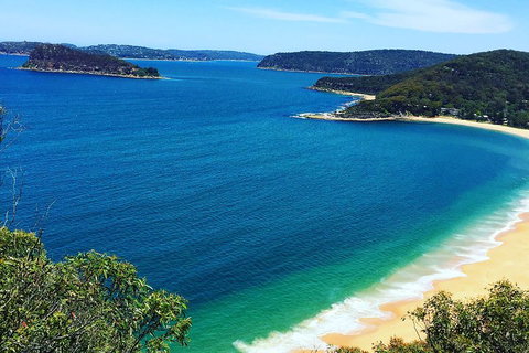 Central Coast Private Tour From Sydney, With Australian Reptile Park Option - Schoolies Week Accommodation 5
