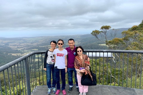 Southern Highlands & South Coast Private Tour From Sydney - Schoolies Week Accommodation 2