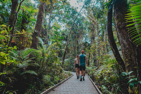 Full Day Cooktown Private Tour - Schoolies Week Accommodation 0